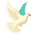 fliegende Taube