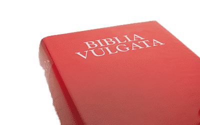 Eine rote Bibel mit dem Wort Bible Vulgata darauf.