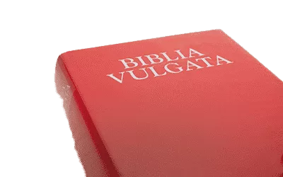 Eine rote Bibel mit dem Wort Bible Vulgata darauf.